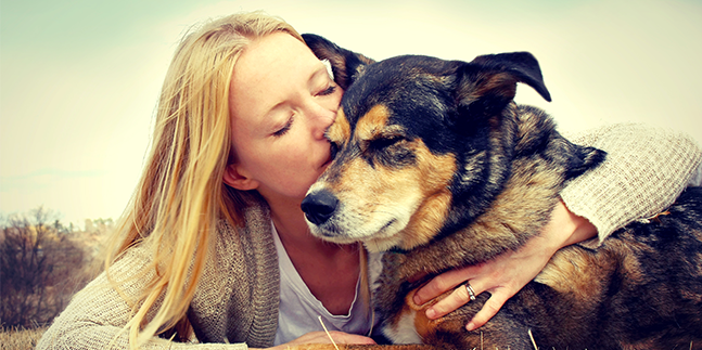 assurance chien formule Zen